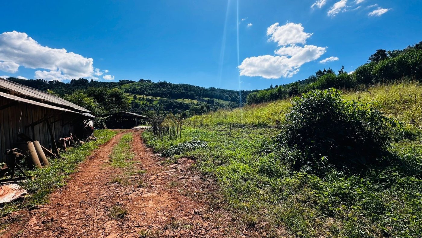 Sítio / Chácara para Venda no bairro São Jacó em Nova Petrópolis