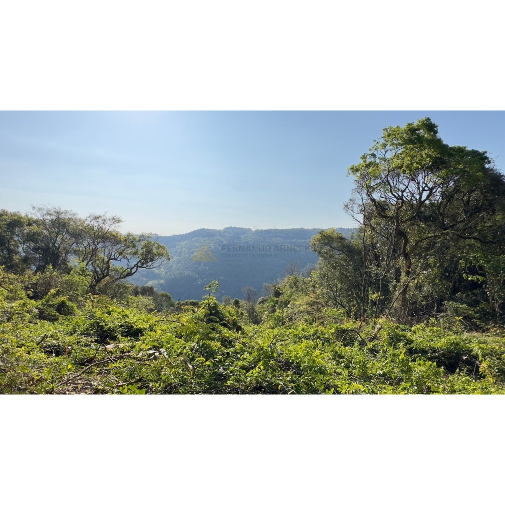 Sítio / Chácara para Venda no bairro Treze Colônias em Nova Petrópolis
