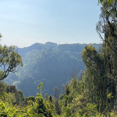 Sítio / Chácara para Venda no bairro Treze Colônias em Nova Petrópolis