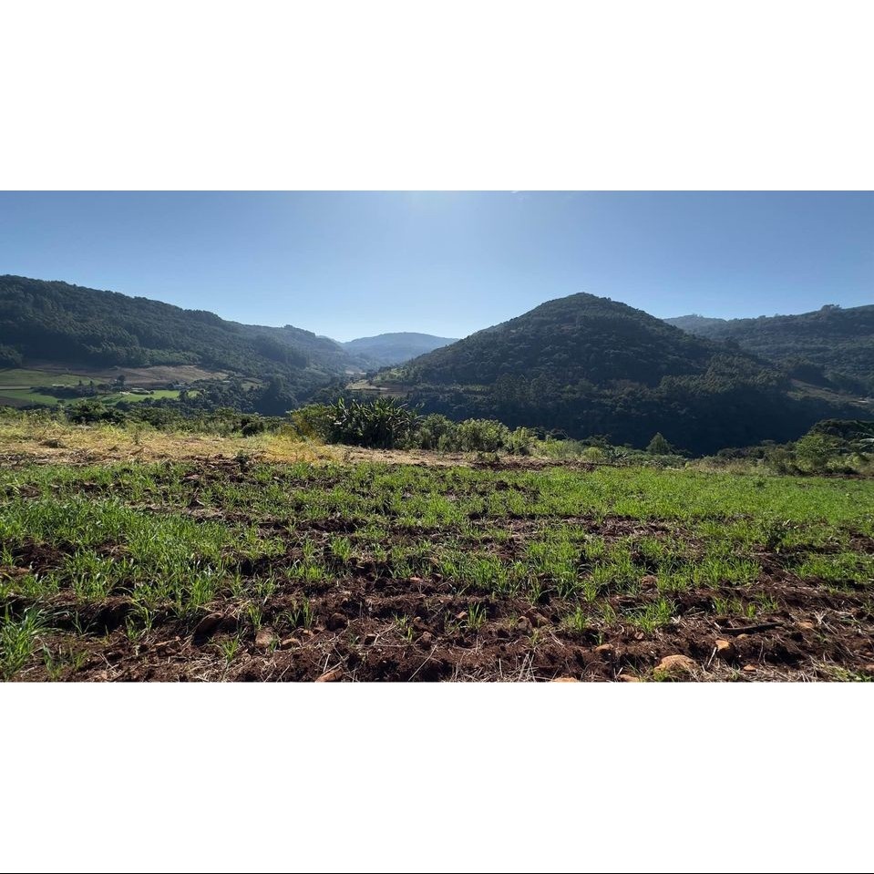 Sítio / Chácara para Venda no bairro Linha Marcondes em Santa Maria do Herval