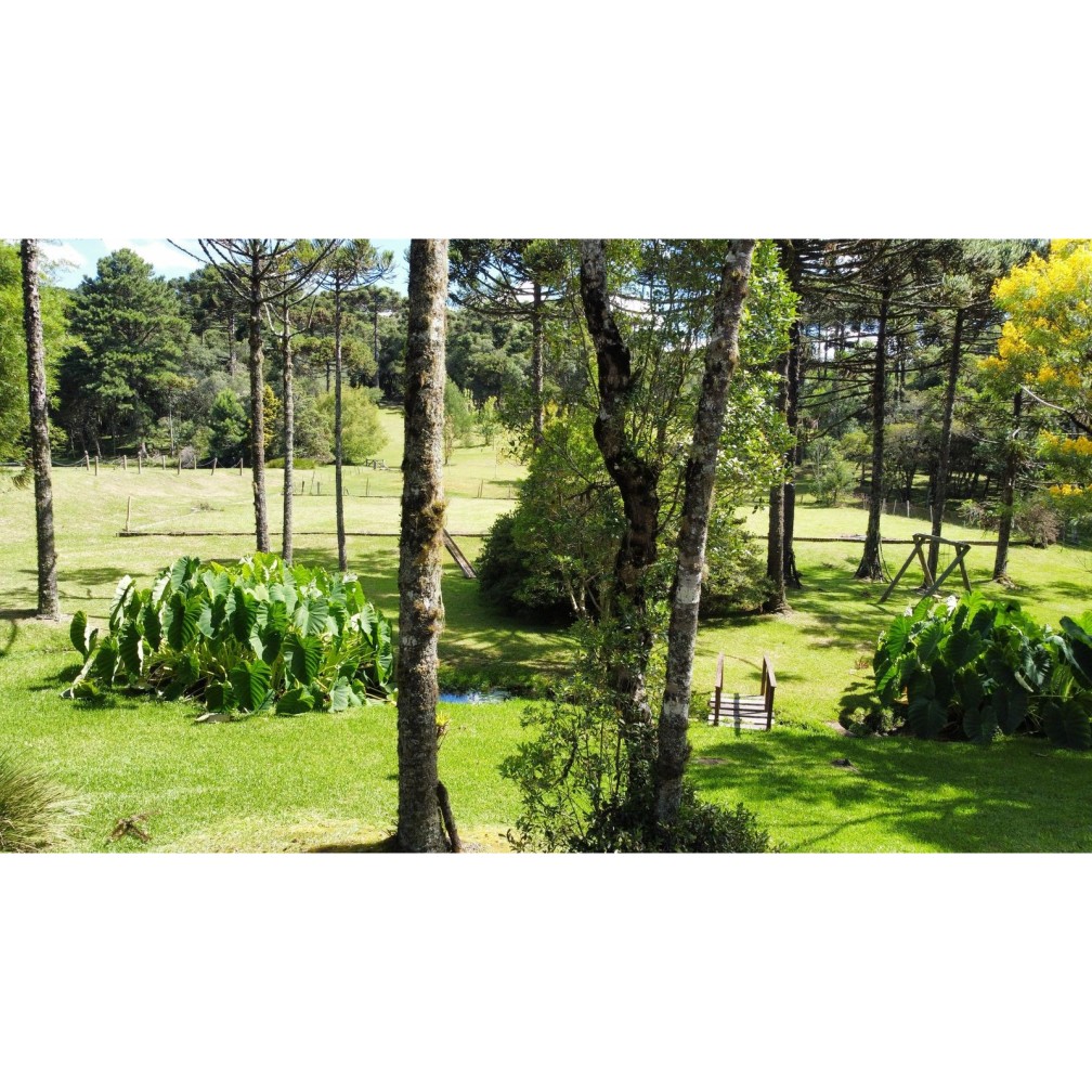 Sítio / Chácara para Venda no bairro Zona Rural em Canela