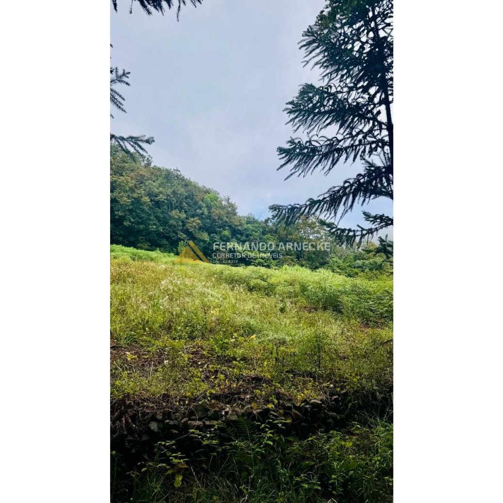 Sítio / Chácara para Venda no bairro Serra Grande em Igrejinha