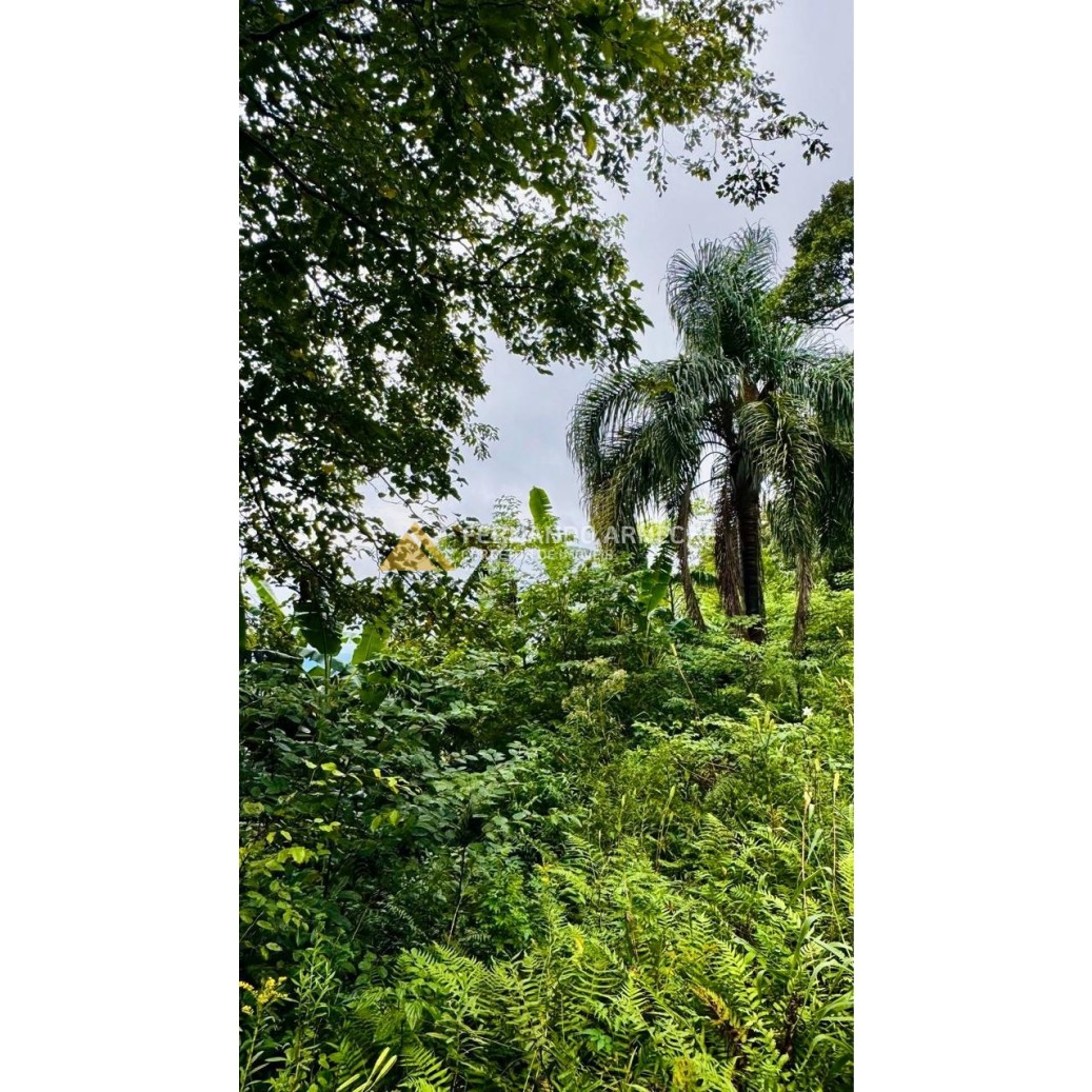 Sítio / Chácara para Venda no bairro Serra Grande em Igrejinha