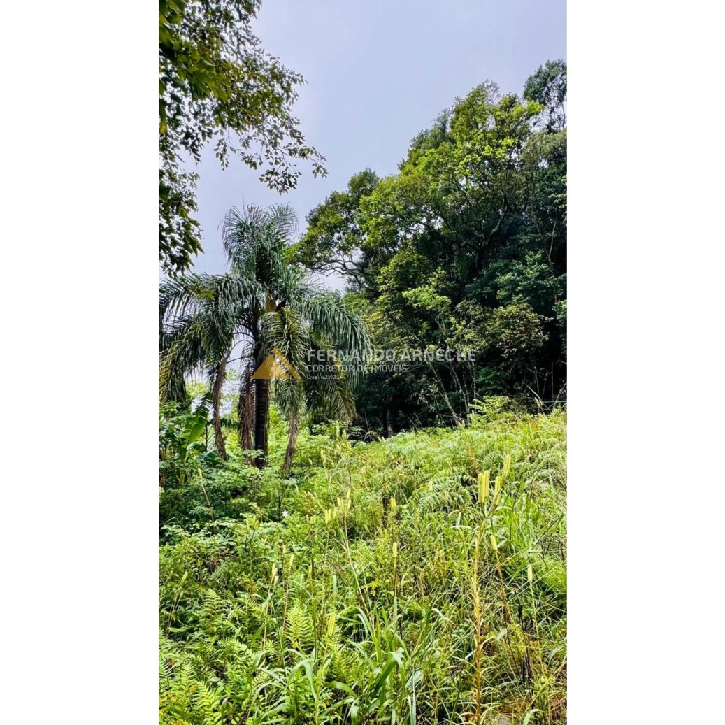 Sítio / Chácara para Venda no bairro Serra Grande em Igrejinha