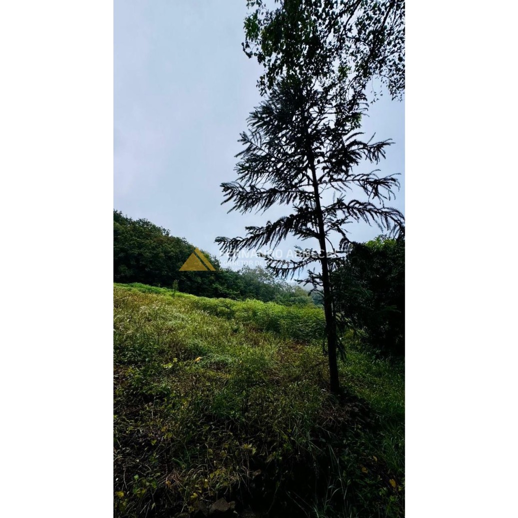 Sítio / Chácara para Venda no bairro Serra Grande em Igrejinha