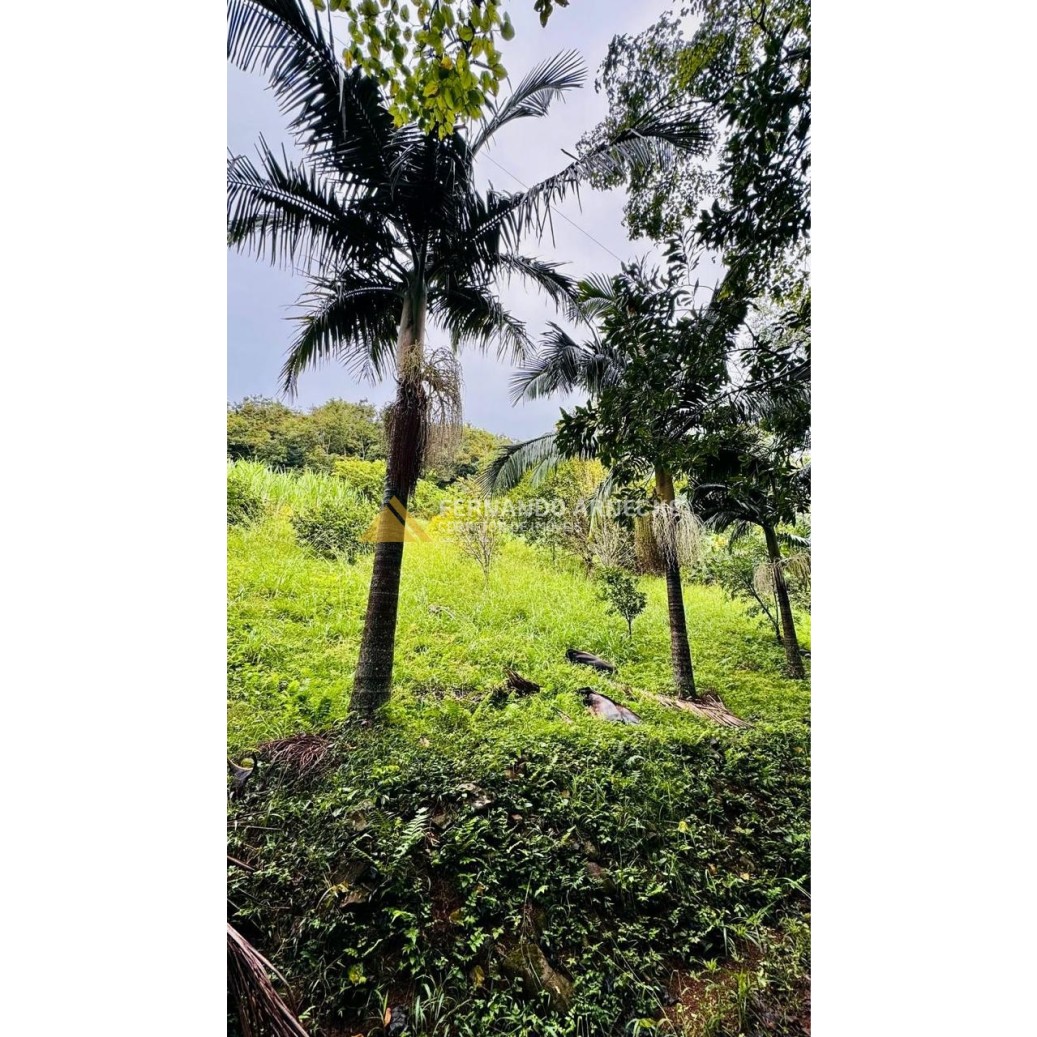 Sítio / Chácara para Venda no bairro Serra Grande em Igrejinha
