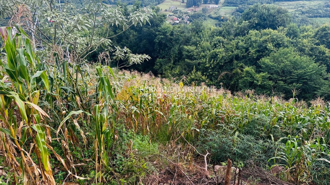 Terreno para Venda no bairro Centro em Santa Maria do Herval