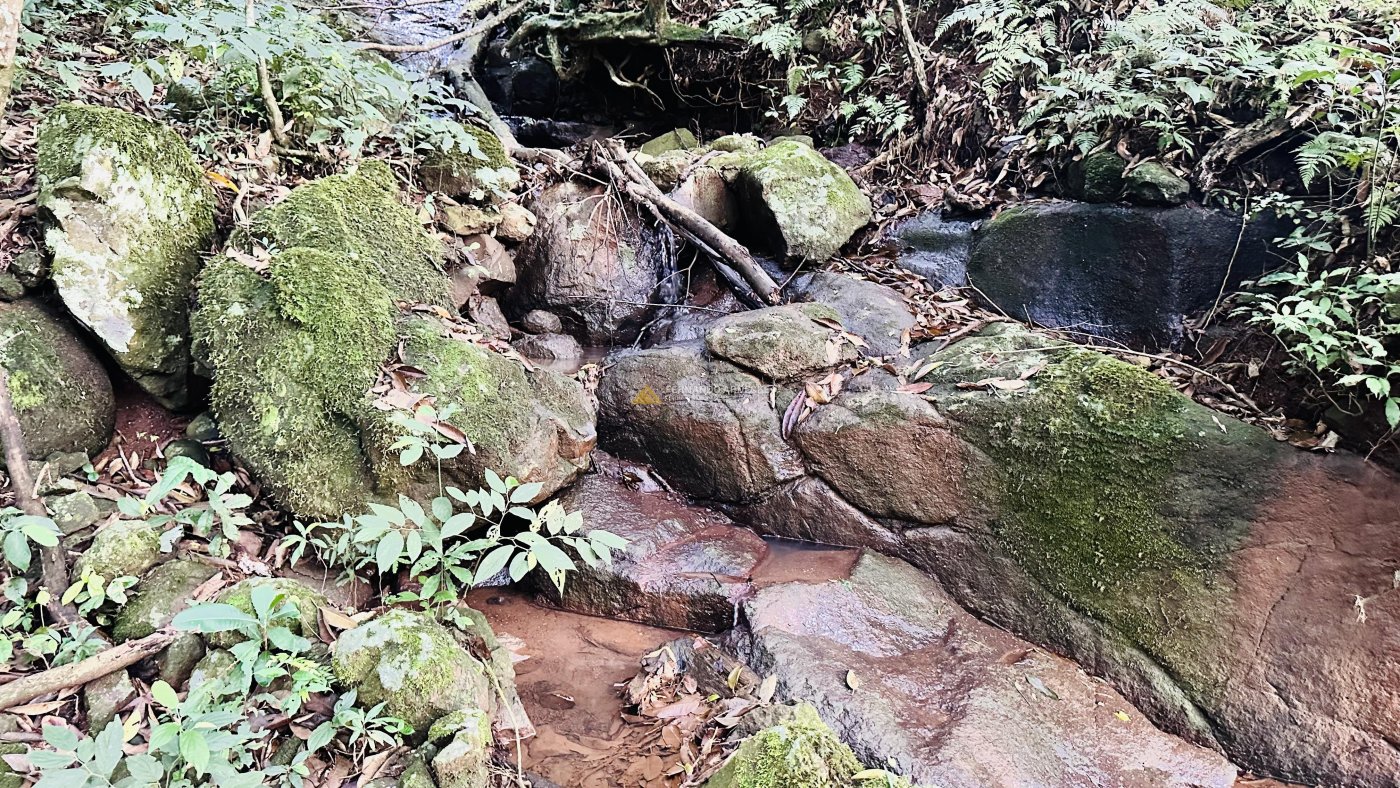 Sítio com Riacho em Solitária Baixa na Cidade de Igrejinha/RS