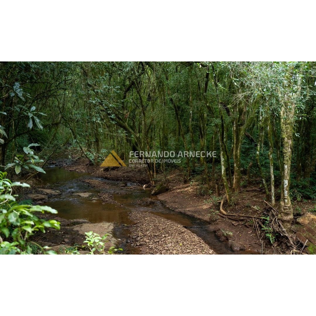 Sítio / Chácara 3 quartos para Venda no bairro Zona Rural em Santa Maria do Herval