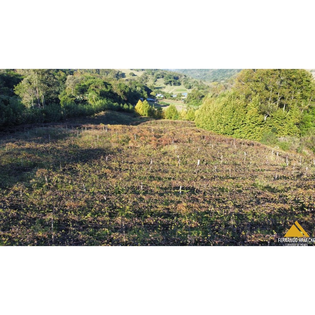 Sítio / Chácara para Venda no bairro Nova Aurora em Igrejinha