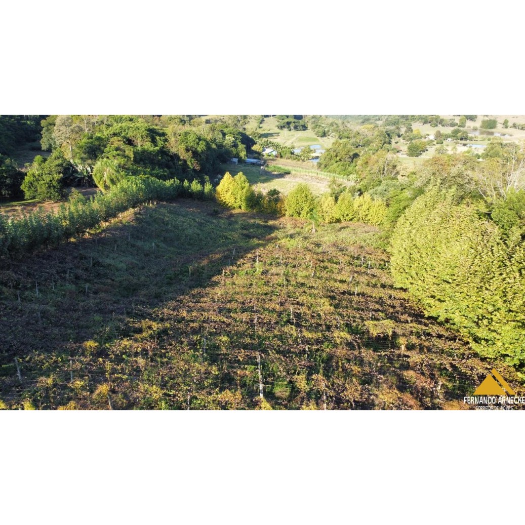 Sítio / Chácara para Venda no bairro Nova Aurora em Igrejinha