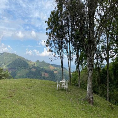 Sítio / Chácara para Venda no bairro São José do Herval em Morro Reuter